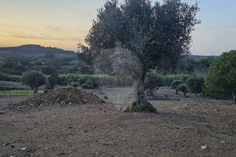 Helårsgrund i Abrantes, Santarem, Abrantes - € 50.000 | Ref: T-29664 - foto 6