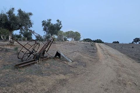 Helårsgrund i Abrantes, Santarem, Abrantes - € 50.000 | Ref: T-29664 - foto 7