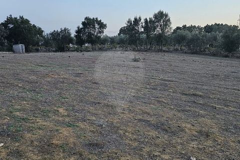 Helårsgrund i Abrantes, Santarem, Abrantes - € 50.000 | Ref: T-29664 - foto 8