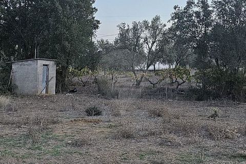 Helårsgrund i Abrantes, Santarem, Abrantes - € 50.000 | Ref: T-29664 - foto 11