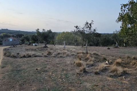 Helårsgrund i Abrantes, Santarem, Abrantes - € 50.000 | Ref: T-29664 - foto 12