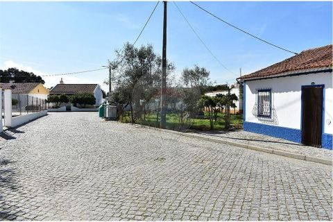 Rækkehus i Avis, Portalegre, Avis - € 35.000 | Ref: M-29666 - foto 2