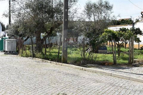 Rækkehus i Avis, Portalegre, Avis - € 35.000 | Ref: M-29666 - foto 3