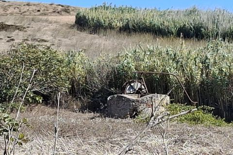 Helårsgrund i Sagres, Faro, Sagres - € 89.000 | Ref: KWPT-022550 - foto 4