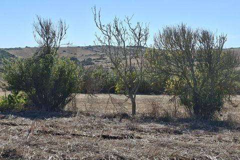 Helårsgrund i Sagres, Faro, Sagres - € 89.000 | Ref: KWPT-022550 - foto 6