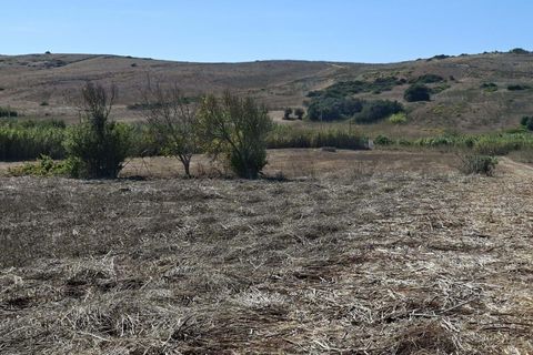 Helårsgrund i Sagres, Faro, Sagres - € 89.000 | Ref: KWPT-022550 - foto 9