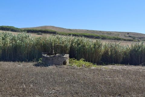 Helårsgrund i Sagres, Faro, Sagres - € 89.000 | Ref: KWPT-022550 - foto 12