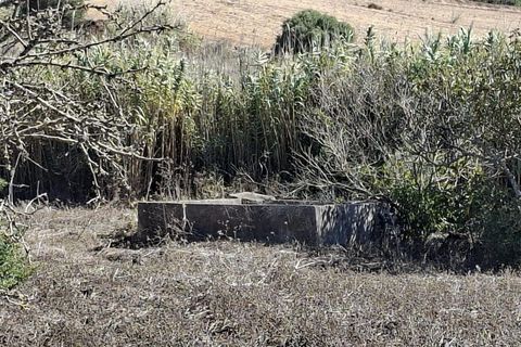 Helårsgrund i Sagres, Faro, Sagres - € 89.000 | Ref: KWPT-022550 - foto 13