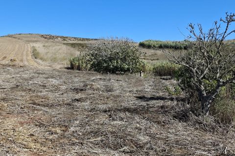 Helårsgrund i Sagres, Faro, Sagres - € 89.000 | Ref: KWPT-022550 - foto 16