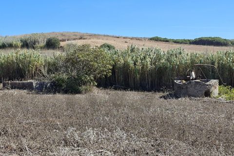 Helårsgrund i Sagres, Faro, Sagres - € 89.000 | Ref: KWPT-022550 - foto 19
