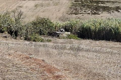 Helårsgrund i Sagres, Faro, Sagres - € 89.000 | Ref: KWPT-022550 - foto 21