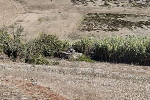 Helårsgrund i Sagres, Faro, Sagres - € 89.000 | Ref: KWPT-022550 - foto 22