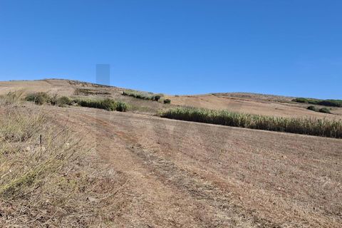 Helårsgrund i Sagres, Faro, Sagres - € 89.000 | Ref: KWPT-022550 - foto 27