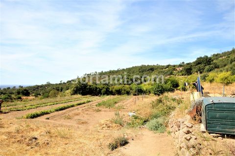 Villa i Monchique, Faro, Monchique - € 320.000 | Ref: Sort24206 - foto 5
