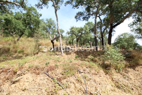 Villa i Monchique, Faro, Monchique - € 320.000 | Ref: Sort24206 - foto 12