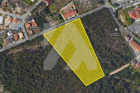 Helårsgrund i Ovar, Aveiro, Ovar - € 650.000 | Ref: 102.916 - foto 1