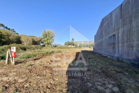 Helårsgrund i Belinho, Braga, Belinho - € 38.500 | Ref: 039250158 - foto 2