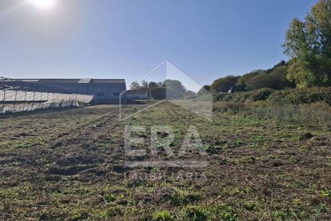 Helårsgrund i Belinho, Braga, Belinho - € 38.500 | Ref: 039250158 - foto 3