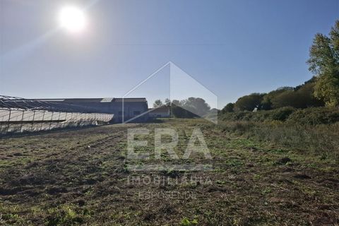 Helårsgrund i Belinho, Braga, Belinho - € 38.500 | Ref: 039250158 - foto 4
