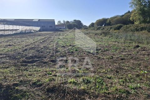 Helårsgrund i Belinho, Braga, Belinho - € 38.500 | Ref: 039250158 - foto 5