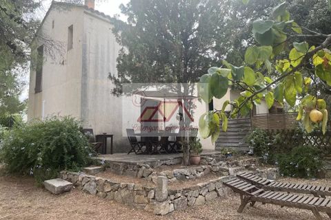 Villa i Monticello, Haute-Corse, Monticello - € 892.500 | Ref: 86360149 - foto 4