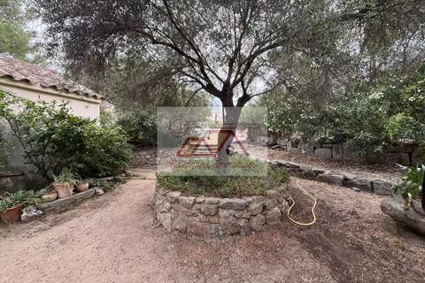 Villa i Monticello, Haute-Corse, Monticello - € 892.500 | Ref: 86360149 - foto 6