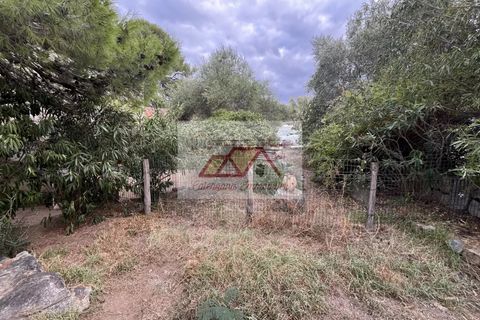 Villa i Monticello, Haute-Corse, Monticello - € 892.500 | Ref: 86360149 - foto 8