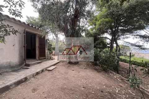 Villa i Monticello, Haute-Corse, Monticello - € 892.500 | Ref: 86360149 - foto 10
