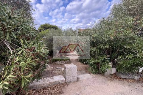 Villa i Monticello, Haute-Corse, Monticello - € 892.500 | Ref: 86360149 - foto 11