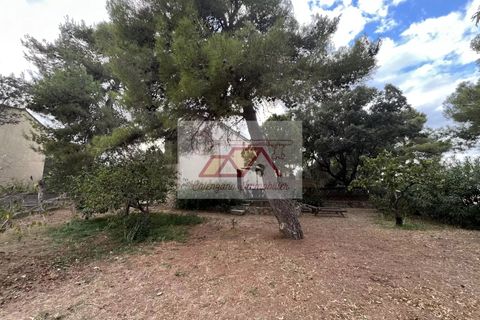 Villa i Monticello, Haute-Corse, Monticello - € 892.500 | Ref: 86360149 - foto 12