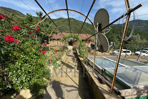 Villa i Apricale, Imperia, Apricale - € 295.000 | Ref: 23542 - foto 38