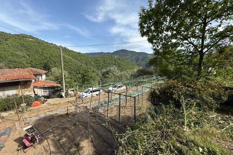 Villa i Apricale, Imperia, Apricale - € 295.000 | Ref: 23542 - foto 39