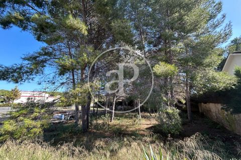 Terra a Paterna, Valencia, Paterna - € 298.000 | Ref: VV2510042 - foto 1