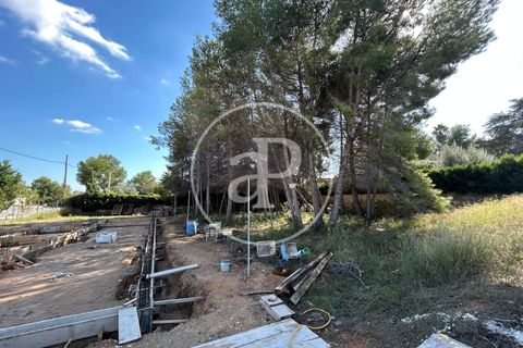 Terra a Paterna, Valencia, Paterna - € 298.000 | Ref: VV2510042 - foto 5
