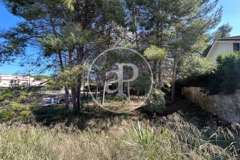 Terra a Paterna, Valencia, Paterna - € 298.000 | Ref: VV2510042 - foto 6
