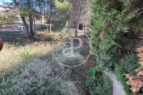 Terra a Paterna, Valencia, Paterna - € 298.000 | Ref: VV2510042 - foto 7