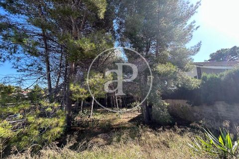Terra a Paterna, Valencia, Paterna - € 298.000 | Ref: VV2510042 - foto 11