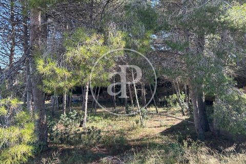 Terra a Paterna, Valencia, Paterna - € 298.000 | Ref: VV2510042 - foto 12