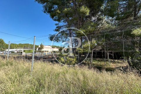 Terra a Paterna, Valencia, Paterna - € 298.000 | Ref: VV2510042 - foto 13