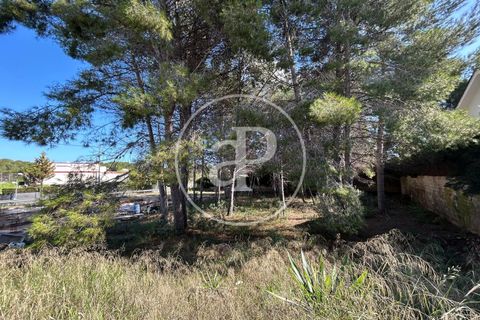 Terra a Paterna, Valencia, Paterna - € 298.000 | Ref: VV2510042 - foto 14