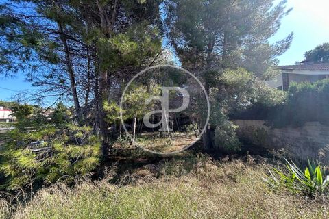 Terra a Paterna, Valencia, Paterna - € 298.000 | Ref: VV2510042 - foto 17