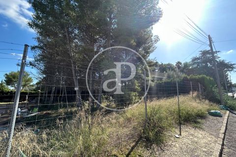 Terra a Paterna, Valencia, Paterna - € 298.000 | Ref: VV2510042 - foto 18