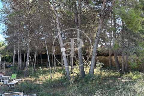 Terra a Paterna, Valencia, Paterna - € 298.000 | Ref: VV2510042 - foto 19
