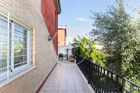 Villa a Burriana, Castellon, Burriana - € 400.000 | Ref: VV2510036 - foto 29