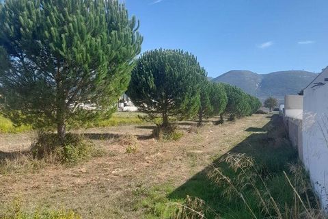Terra a Alcobaca, Leiria, Alcobaca - € 86.000 | Ref: 709355 - foto 3