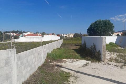 Terra a Alcobaca, Leiria, Alcobaca - € 86.000 | Ref: 709355 - foto 5