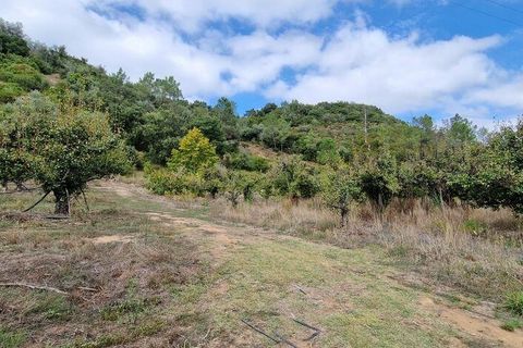 Helårsgrund i Mafra, Lisbon, Mafra - € 98.000 | Ref: 150466 - foto 1