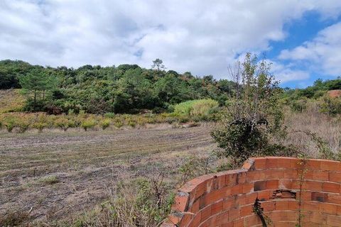 Helårsgrund i Mafra, Lisbon, Mafra - € 98.000 | Ref: 150466 - foto 11