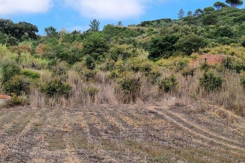 Helårsgrund i Mafra, Lisbon, Mafra - € 98.000 | Ref: 150466 - foto 14