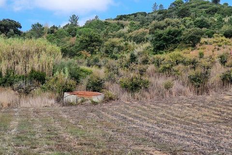 Helårsgrund i Mafra, Lisbon, Mafra - € 98.000 | Ref: 150466 - foto 15